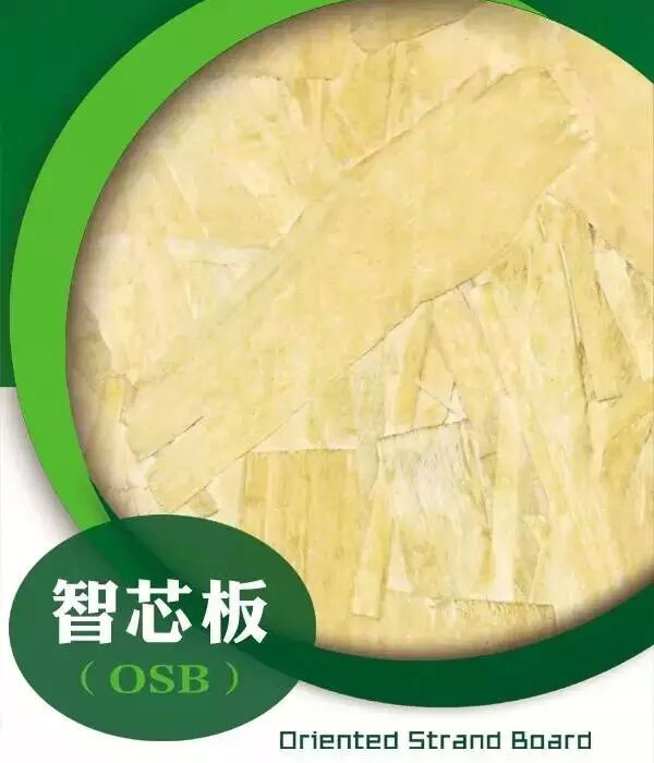 ѩ����о��-���ʮ��Ʒ��-OSB�����W�ɰ�