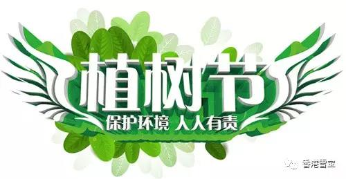 �G�a�Є�(d��ng)��ѩ����ľG�aֲ��(sh��)��(ji��)���c�f(w��n)��һͬ����������