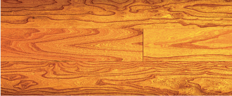 ��ȼ��ʮ��Ʒ��