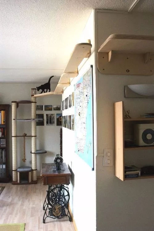 ���Ќ�������b���Լ��ļ������@Щ�����܎��톢�l(f��)��