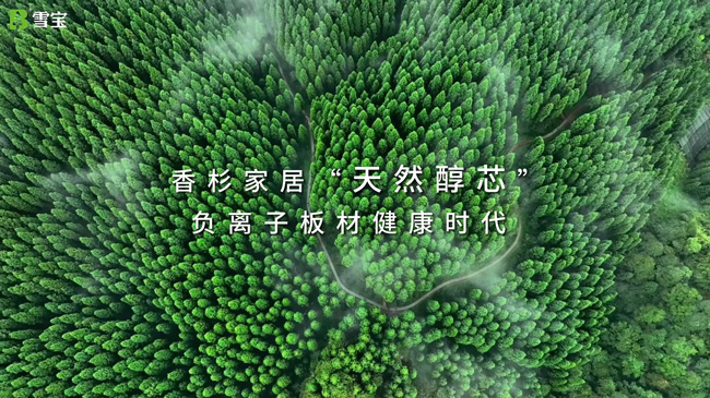 ��ʲôҪ�I��ľ��������¹���