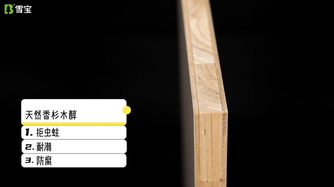 ��ʲôҪ�I��ľ��������¹���