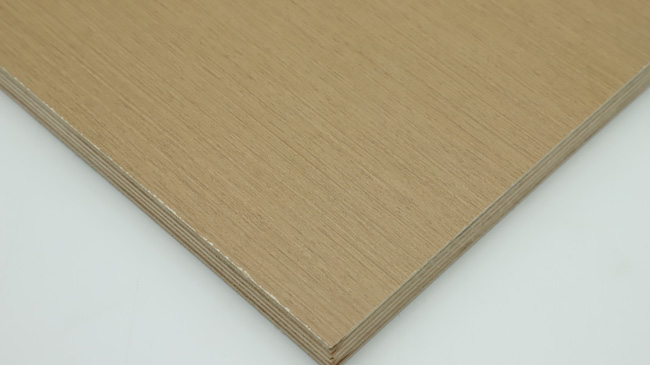 �Ҿ߰���ʲô����ʲôҪ�x��Ҿ߰���