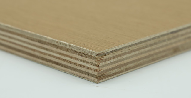 �Ҿ߰���ʲô����ʲôҪ�x��Ҿ߰���